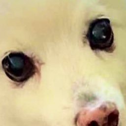 kazukazukazu920's profile picture. #少子化 を危惧してるが、#少子化 は国の状態であり若者の貧しさや未婚化や共働き難など我々だけでは解決できず、SNS等で世論を高めるていく。また地方の#街おこし にSNS等使い、協力・支援して若者も活躍できるようあちこち活性化したい。FBの「未来を考える少子化研究会」を支援中。志ある方は連携しませんか。