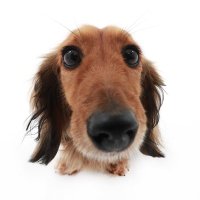 MinnietheMini (@miniminniethe) 's Twitter Profile