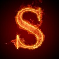 Shawky Shamy (@shawkyshamy) 's Twitter Profile