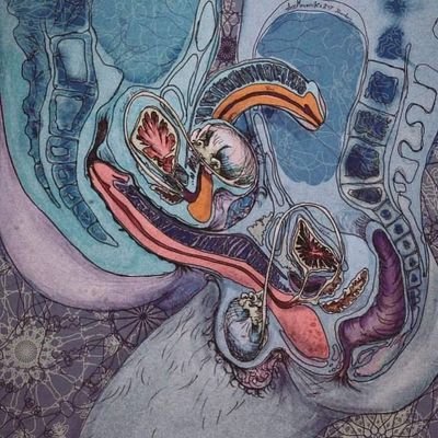 heideger19's profile picture. ⚖️