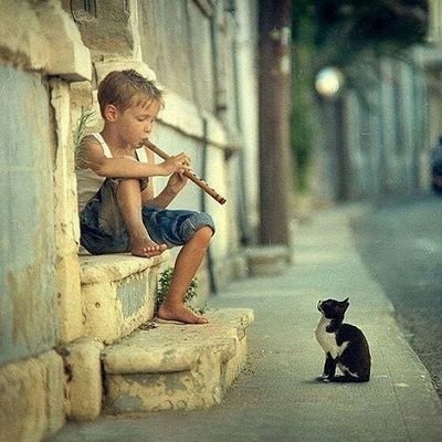 emrah_maraga_'s profile picture. ⚖️