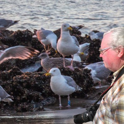 Fotograaf, nee ik noem me beeldmaker. Mijn beelden zijn niet altijd een weergave van de werkelijkheid. Het is mijn werkelijkheid en wellicht ook die van jou.