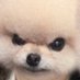 I (@nychandesu) Twitter profile photo I (@nychandesu) Twitter profile photo