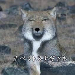 🐎馬とウマ娘をこよなく愛しています🦊
目は死んでますが心は熱く燃えています🔥
ウマ娘ちゃん皆んな好きですが、最推しウマ娘はタルマエちゃん❄️
最近はヴヴヴ3姉妹に心やられてます🫨🫨🫨