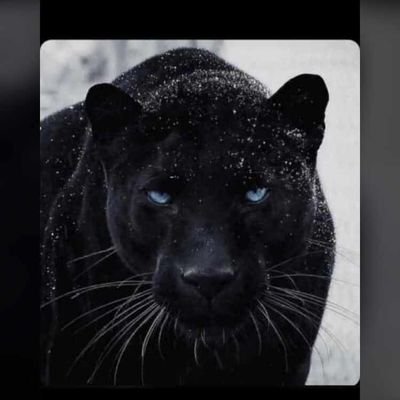 oluw18804's profile picture. repairs all kinds of phone and we buy and sell all kind of phone 
iPhone
Samsung
iPod
laptop
etc 
WhatsApp_08124020429