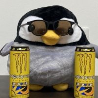 クサクサペンギン(本物)🦥🕊⚖。 (@nottttttt_or_ii) 's Twitter Profile