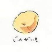 potatoooonさんのプロフィール画像