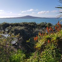 Alliance Francaise Auckland (@afauckland) 's Twitter Profile