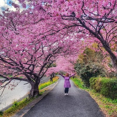 Viviendo en Japón y disfrutando del país. ❤️🌸