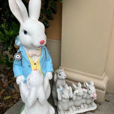 zhebinzhao's profile picture. 宋江情节