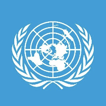 United Nations in India
