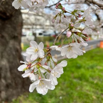 北見出身。立正地理の院生。文化地理学・観光地理学・地理教育 故郷である道東の文化や観光を地理学の観点から研究したいです。　所属:日本地理学会、人文地理学会、北海道地理学会、立正地理学会 教員免許取得済