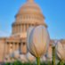 Washington DC Time Lapses (@dc_timelapse) Twitter profile photo Washington DC Time Lapses (@dc_timelapse) Twitter profile photo
