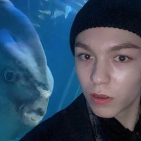 eliphhh | akademik era (@slayyief) 's Twitter Profile Photo eliphhh | akademik era (@slayyief) 's Twitter Profile Photo