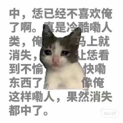 wjbcsba's profile picture. 不 我超失败 所以你不用在乎我