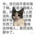 人生失败的猫猫 (@wjbcsba) Twitter profile photo 人生失败的猫猫 (@wjbcsba) Twitter profile photo