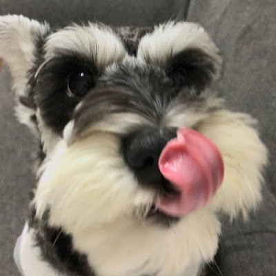 s5nHNbaHxF86438's profile picture. 思い込んだら 試練の道を 行くが男の ど根性