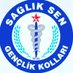 Sağlık Sen Kocaeli Gençlik Kolları Başkanlığı (@genclik41049145) Twitter profile photo