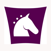 Expertise in Equestrian - more than 15 years of experience supplying both the horse and the rider with equipment, supplements, care and advise.