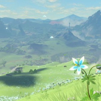 ver3313's profile picture. 焚き火