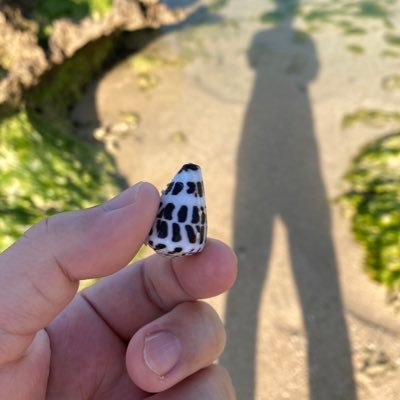 札幌でWEBエンジニアやっています。必要に応じて勉強しているので広く浅く。。。ReactJS/VueJS/Django/AWS/GCP