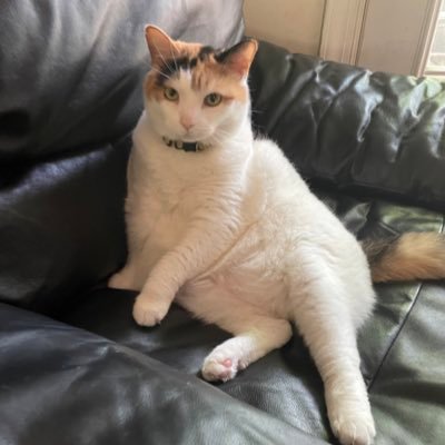 thewrinkleyone's profile picture. 