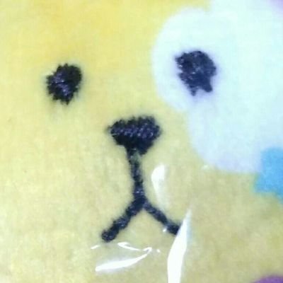 21↑大学卒業 済み2000生まれ 819、🟥船 ❄️、五の話が大好きです。最近WBの🌸くんの色気にやられてハマりしました。無言フォロー、無言リスイン失礼します