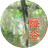 noi_tori