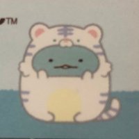 アサカ (@rosidscannabis) 's Twitter Profile Photo