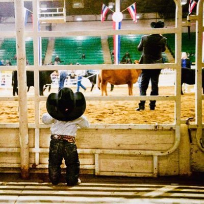 KOB23797574's profile picture. 