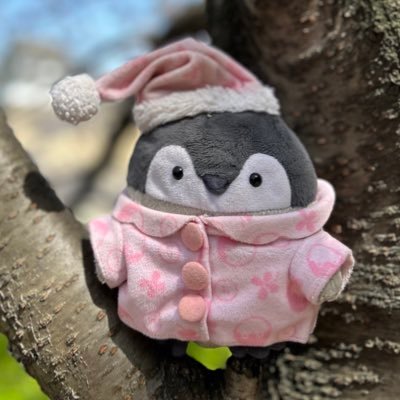 あまねさんのプロフィール画像