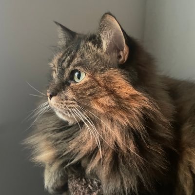 JohnDMND's profile picture. 