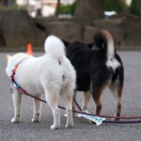 てん (@m4p8m6uyzpungnk) 's Twitter Profile Photo てん (@m4p8m6uyzpungnk) 's Twitter Profile Photo