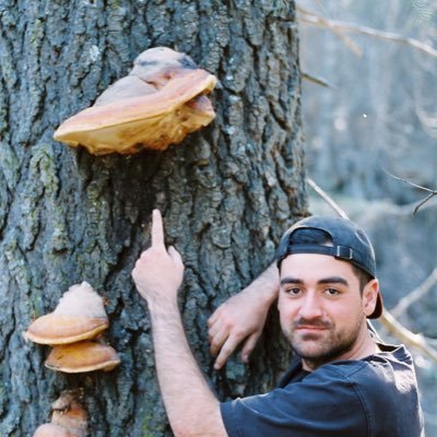 ndrewrodden's profile picture. 