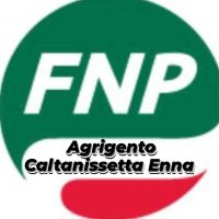 Fnp Cisl Agrigento Caltanissetta Enna(@fnp_ag_cl_e) 's Twitter Profile Photo