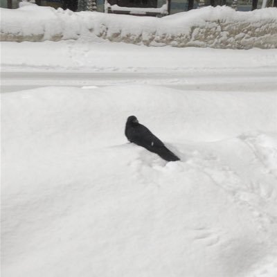 omnyuJSqUutKfBH's profile picture. 22歳都内大学4年 ひまの極み