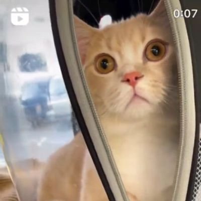 Ysheysee's profile picture. Lockey World (≧∇≦)/ 💓