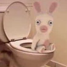 babineau_scott's profile picture. 