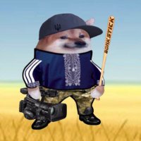NafoCale\🇺🇦\🇫🇷 (@nafocameraman) 's Twitter Profile
