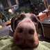 erg5uhv❤️ Memecoin (@erg5uh81343) Twitter profile photo erg5uhv❤️ Memecoin (@erg5uh81343) Twitter profile photo