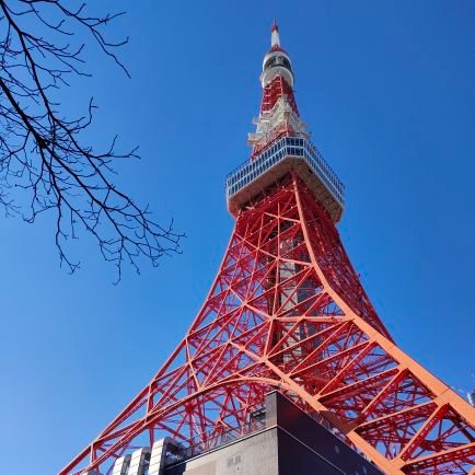 yui20165's profile picture. #別居親　息子６才　元妻の再婚により会える頻度激減　虐待もされてるっぽいのに何もできないのが辛い
養父からのモラ対策中