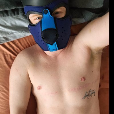 Trans puppy, he/him • 29 • 18+ only • 💗 @pupper_mylo
Good words for me/my body: good boy or good pup; hole, cunt
Please avoid: breed, pussy