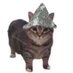 qwer (@qwerche) Twitter profile photo qwer (@qwerche) Twitter profile photo