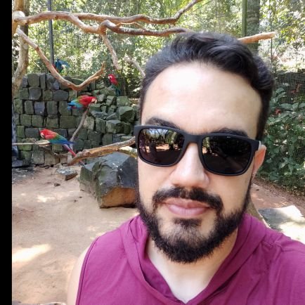 Senior Software Developer 🇺🇲🇧🇷 #Typescript #Javascript #Python #PHP