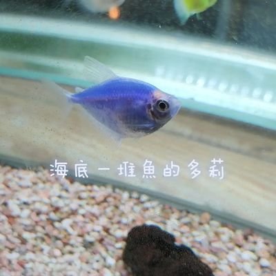 6kyHCqf9B7k4K9d's profile picture. 3創造6情感9智慧
幣安合約推薦碼:519322057 享合約九折手續費 
幣安註冊邀請碼：CPA_00VC5WPKWV
Binance registration invitation code: CPA_00VC5WPKWV