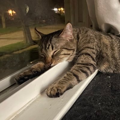 eibhen's profile picture. 23 gemini