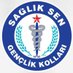 Sağlık-Sen Bilecik Gençlik Kolları Başkanlığı (@ss_genclik11) Twitter profile photo