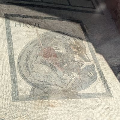 califorleanian's profile picture. Cal Philosophy 2010. Chunky's mom. Fan of festive seasonal dishes, latkes and king cake. Passionate about diction. Doctor.