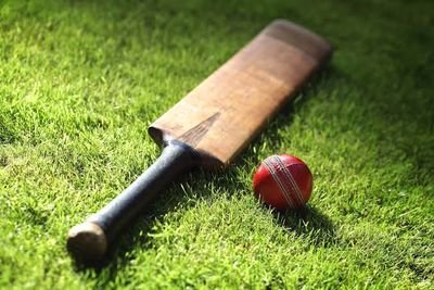 GPT of Cricket 😳 | Cricket Enthusiast | Cricket Updates | Cricket Stats | Content Writer #IPL2023 #TATAIPL