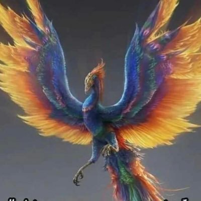 projetofenix23's profile picture. 